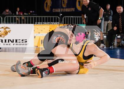 Thumbnail 2 in CIF State Girls Wrestling Championships (Finals) photogallery.