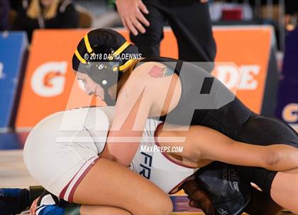 Thumbnail 3 in CIF State Girls Wrestling Championships (Finals) photogallery.