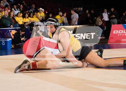 Thumbnail 1 in CIF State Girls Wrestling Championships (Finals) photogallery.