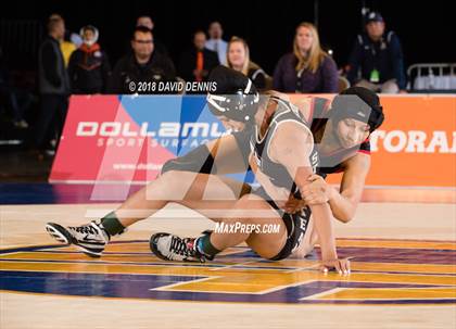 Thumbnail 2 in CIF State Girls Wrestling Championships (Finals) photogallery.