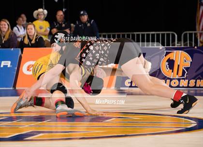 Thumbnail 2 in CIF State Girls Wrestling Championships (Finals) photogallery.