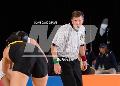 Thumbnail 1 in CIF State Girls Wrestling Championships (Finals) photogallery.