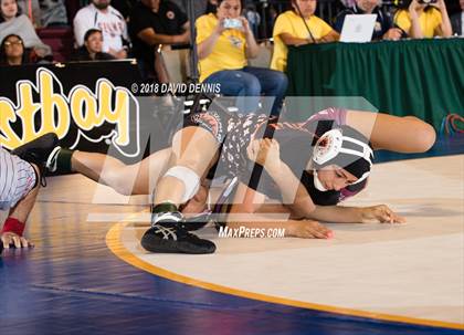 Thumbnail 3 in CIF State Girls Wrestling Championships (Finals) photogallery.