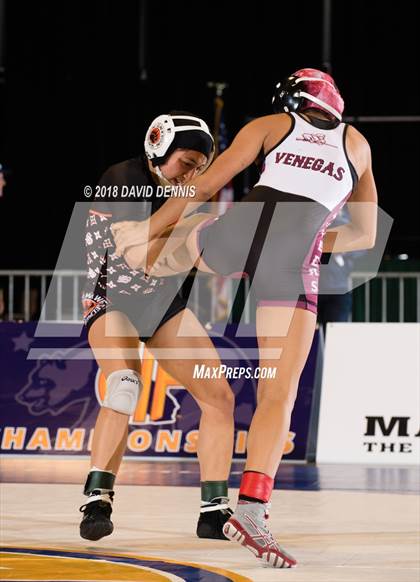 Thumbnail 3 in CIF State Girls Wrestling Championships (Finals) photogallery.