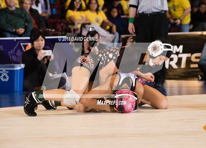 Thumbnail 1 in CIF State Girls Wrestling Championships (Finals) photogallery.