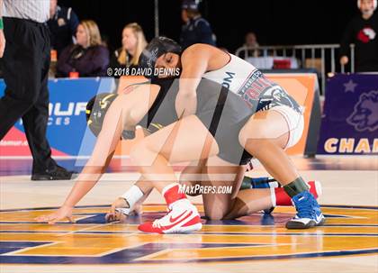 Thumbnail 2 in CIF State Girls Wrestling Championships (Finals) photogallery.
