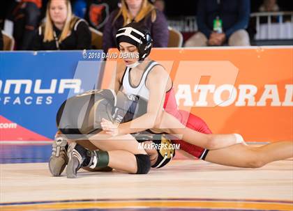 Thumbnail 2 in CIF State Girls Wrestling Championships (Finals) photogallery.