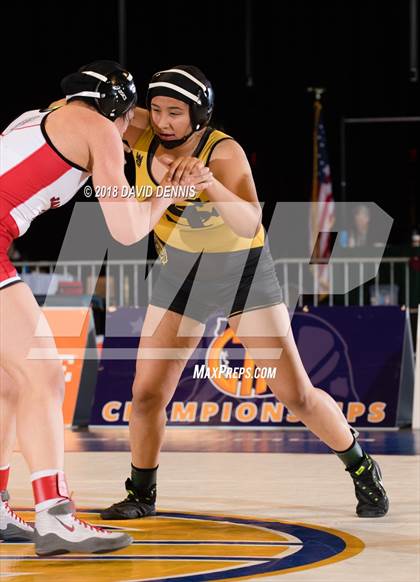 Thumbnail 2 in CIF State Girls Wrestling Championships (Finals) photogallery.