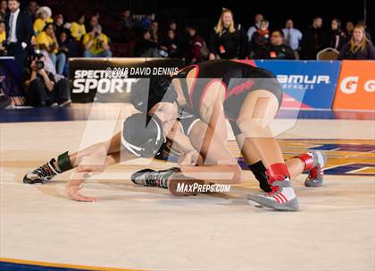 Thumbnail 2 in CIF State Girls Wrestling Championships (Finals) photogallery.