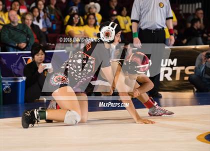 Thumbnail 2 in CIF State Girls Wrestling Championships (Finals) photogallery.