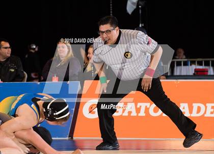 Thumbnail 2 in CIF State Girls Wrestling Championships (Finals) photogallery.