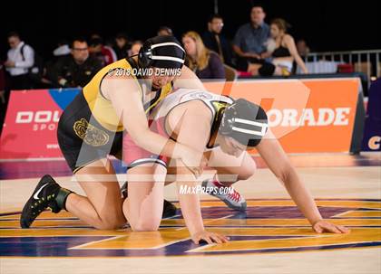 Thumbnail 2 in CIF State Girls Wrestling Championships (Finals) photogallery.