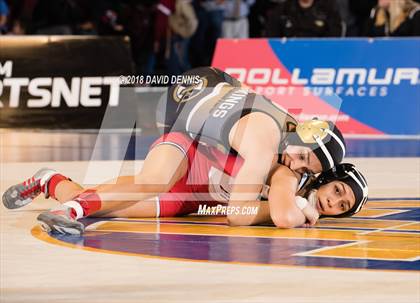 Thumbnail 2 in CIF State Girls Wrestling Championships (Finals) photogallery.