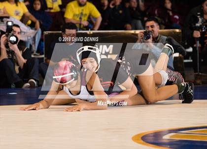 Thumbnail 2 in CIF State Girls Wrestling Championships (Finals) photogallery.