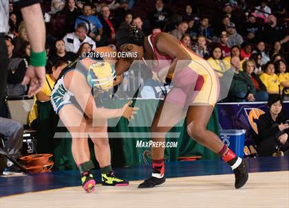 Thumbnail 1 in CIF State Girls Wrestling Championships (Finals) photogallery.