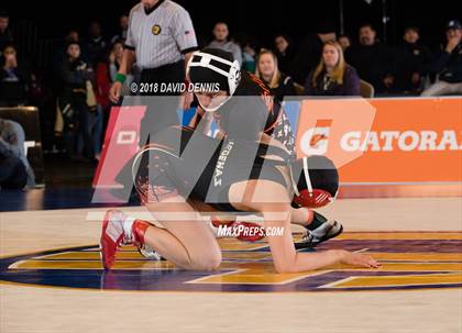 Thumbnail 3 in CIF State Girls Wrestling Championships (Finals) photogallery.