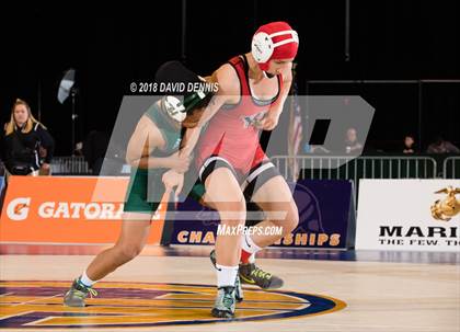 Thumbnail 2 in CIF State Girls Wrestling Championships (Finals) photogallery.