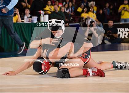 Thumbnail 2 in CIF State Girls Wrestling Championships (Finals) photogallery.