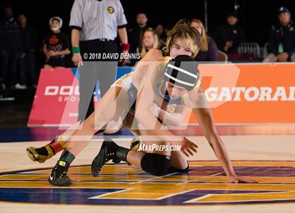 Thumbnail 1 in CIF State Girls Wrestling Championships (Finals) photogallery.