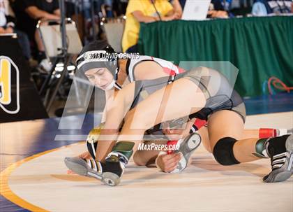 Thumbnail 3 in CIF State Girls Wrestling Championships (Finals) photogallery.