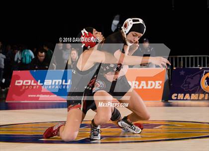 Thumbnail 1 in CIF State Girls Wrestling Championships (Finals) photogallery.