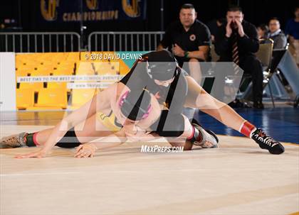 Thumbnail 1 in CIF State Girls Wrestling Championships (Finals) photogallery.