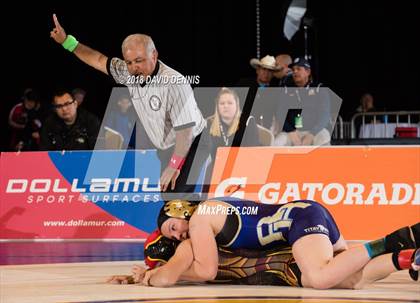 Thumbnail 1 in CIF State Girls Wrestling Championships (Finals) photogallery.