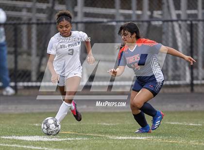 Thumbnail 1 in St. Pius X Catholic vs Mundy's Mill (GHSA 6A First Round) photogallery.