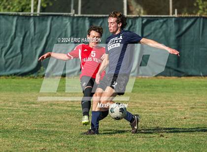Thumbnail 1 in Loyola vs Palos Verdes (Scrimmage) photogallery.