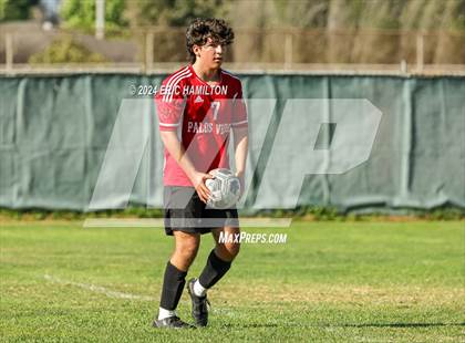Thumbnail 1 in Loyola vs Palos Verdes (Scrimmage) photogallery.