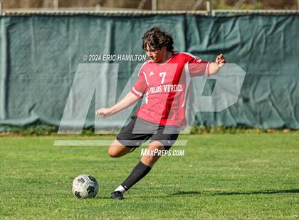 Thumbnail 2 in Loyola vs Palos Verdes (Scrimmage) photogallery.