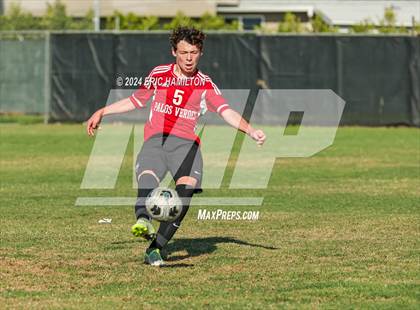 Thumbnail 2 in Loyola vs Palos Verdes (Scrimmage) photogallery.