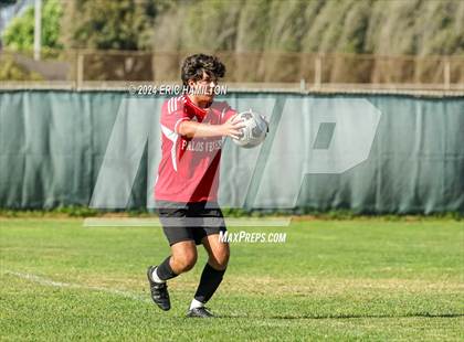 Thumbnail 3 in Loyola vs Palos Verdes (Scrimmage) photogallery.