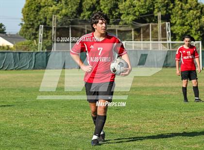 Thumbnail 3 in Loyola vs Palos Verdes (Scrimmage) photogallery.