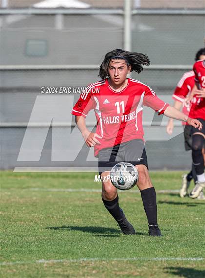 Thumbnail 2 in Loyola vs Palos Verdes (Scrimmage) photogallery.