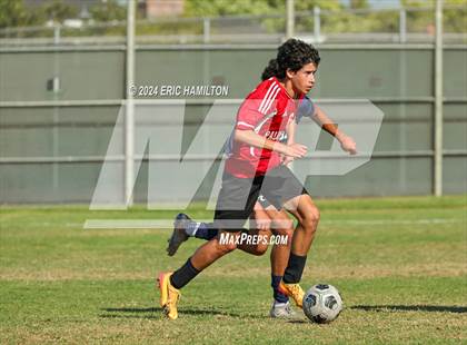 Thumbnail 2 in Loyola vs Palos Verdes (Scrimmage) photogallery.