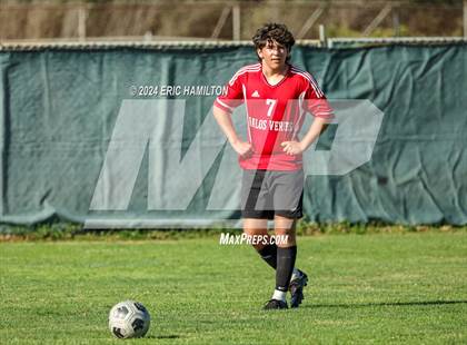 Thumbnail 3 in Loyola vs Palos Verdes (Scrimmage) photogallery.