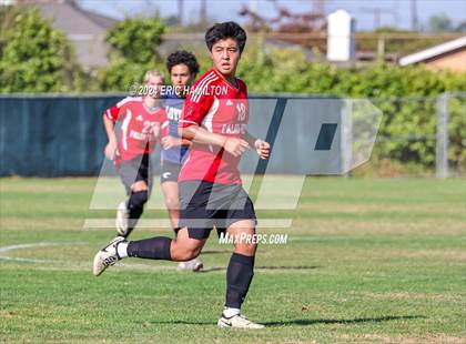 Thumbnail 3 in Loyola vs Palos Verdes (Scrimmage) photogallery.