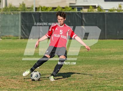 Thumbnail 3 in Loyola vs Palos Verdes (Scrimmage) photogallery.