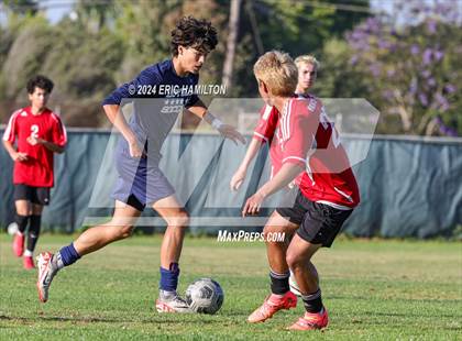 Thumbnail 1 in Loyola vs Palos Verdes (Scrimmage) photogallery.