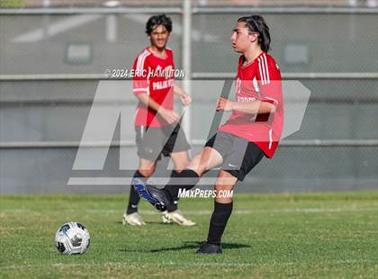 Thumbnail 1 in Loyola vs Palos Verdes (Scrimmage) photogallery.