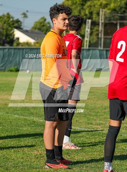 Thumbnail 1 in Loyola vs Palos Verdes (Scrimmage) photogallery.