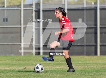 Thumbnail 1 in Loyola vs Palos Verdes (Scrimmage) photogallery.