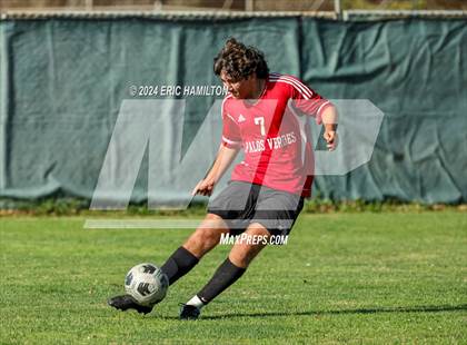Thumbnail 1 in Loyola vs Palos Verdes (Scrimmage) photogallery.