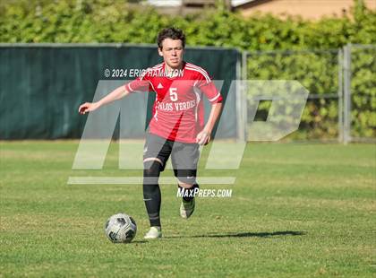 Thumbnail 3 in Loyola vs Palos Verdes (Scrimmage) photogallery.