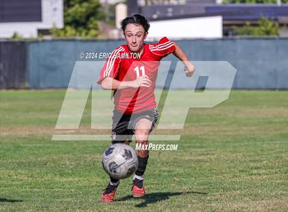 Thumbnail 3 in Loyola vs Palos Verdes (Scrimmage) photogallery.