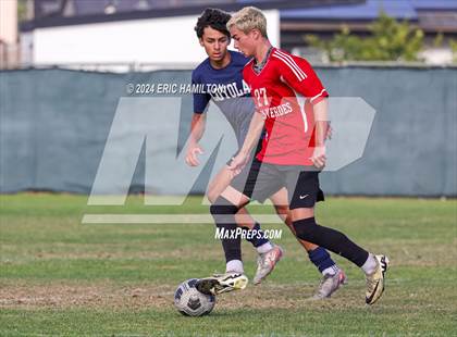 Thumbnail 1 in Loyola vs Palos Verdes (Scrimmage) photogallery.