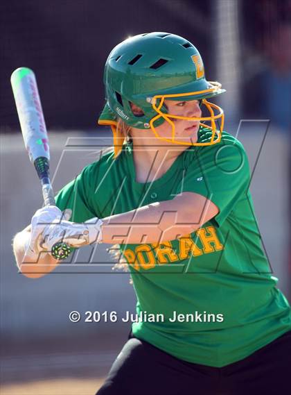 Thumbnail 1 in Borah @ Meridian photogallery.