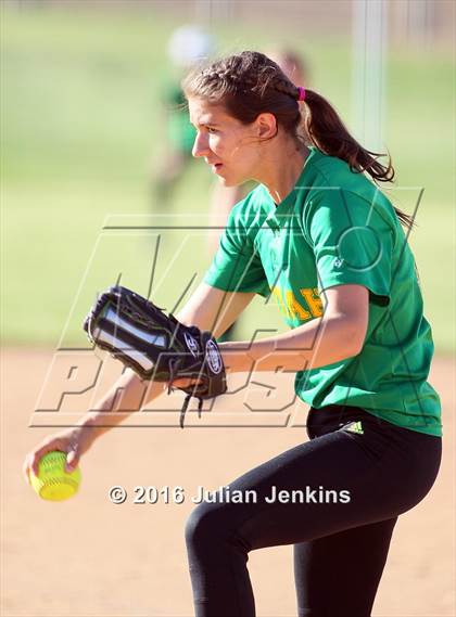 Thumbnail 3 in Borah @ Meridian photogallery.