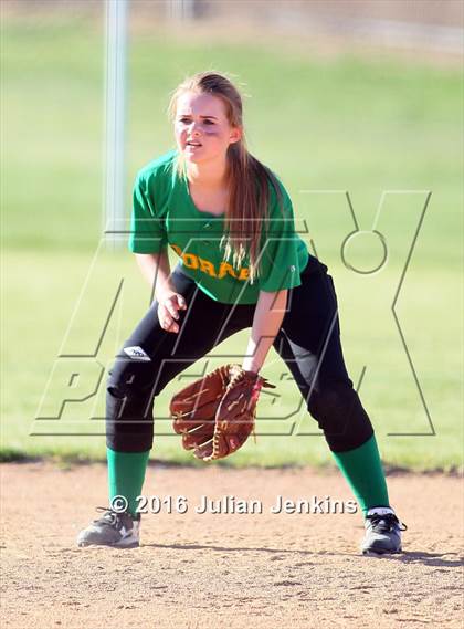 Thumbnail 3 in Borah @ Meridian photogallery.